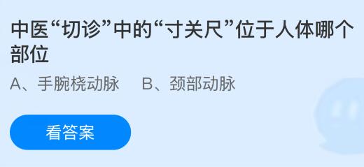 中医&ldquo;切诊&rdquo;中的&ldquo;寸关尺&rdquo;位于人体哪个部位？蚂蚁庄园今日答案最新6.11
