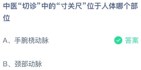 中医&ldquo;切诊&rdquo;中的&ldquo;寸关尺&rdquo;位于人体哪个部位？蚂蚁庄园今日答案最新6.11
