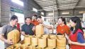 政和竹业科技小院专家团队助力政和竹产业转型升级