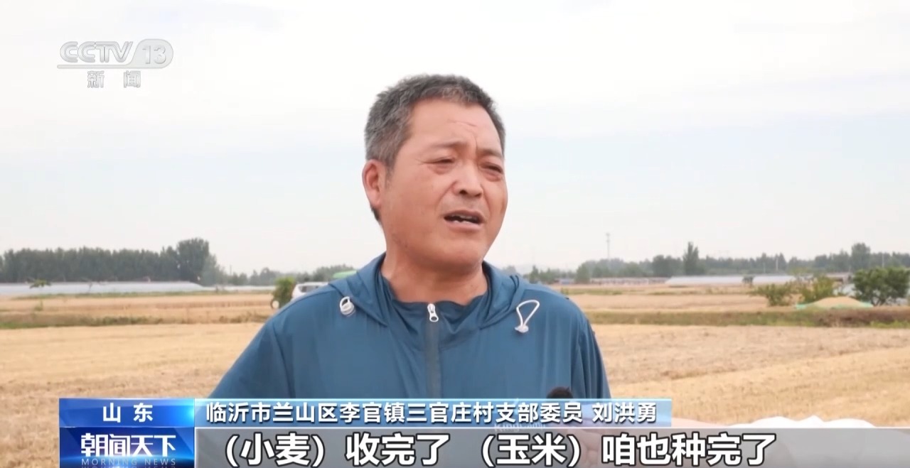 全国小麦收获进度已过七成 夏播粮食进度过四成