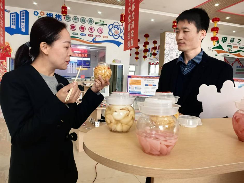 山海之间︱从沙坡头到沙坡尾