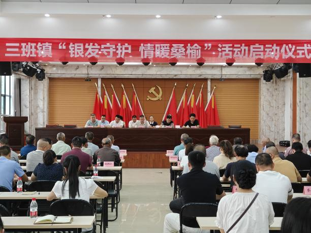 干部下沉·服务上门 | 三班镇：党建引领聚合力 银发守护暖桑榆