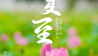 遇见闽南 节气之美丨夏至