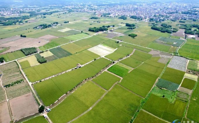守好良田沃土！古雷奏响“田间交响曲”