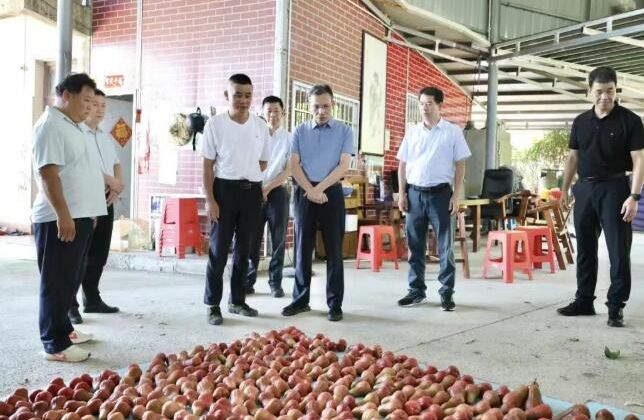 云霄县县长调研农产品质量安全监管工作
