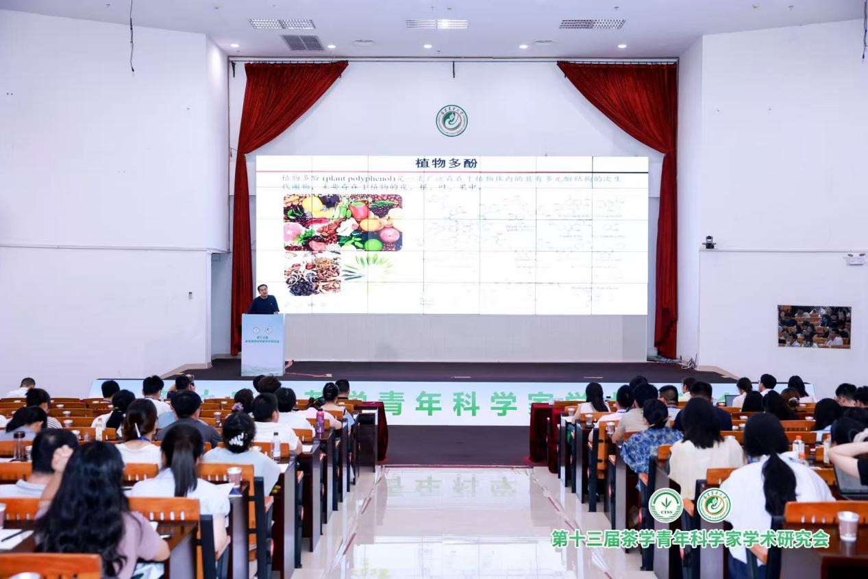 第十三届茶学青年科学家学术研讨会在福建安溪开幕