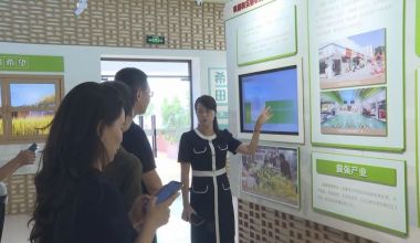 晋江来“取经”！泉港“AI+OPC”模式凭啥成基层治理数字新样板