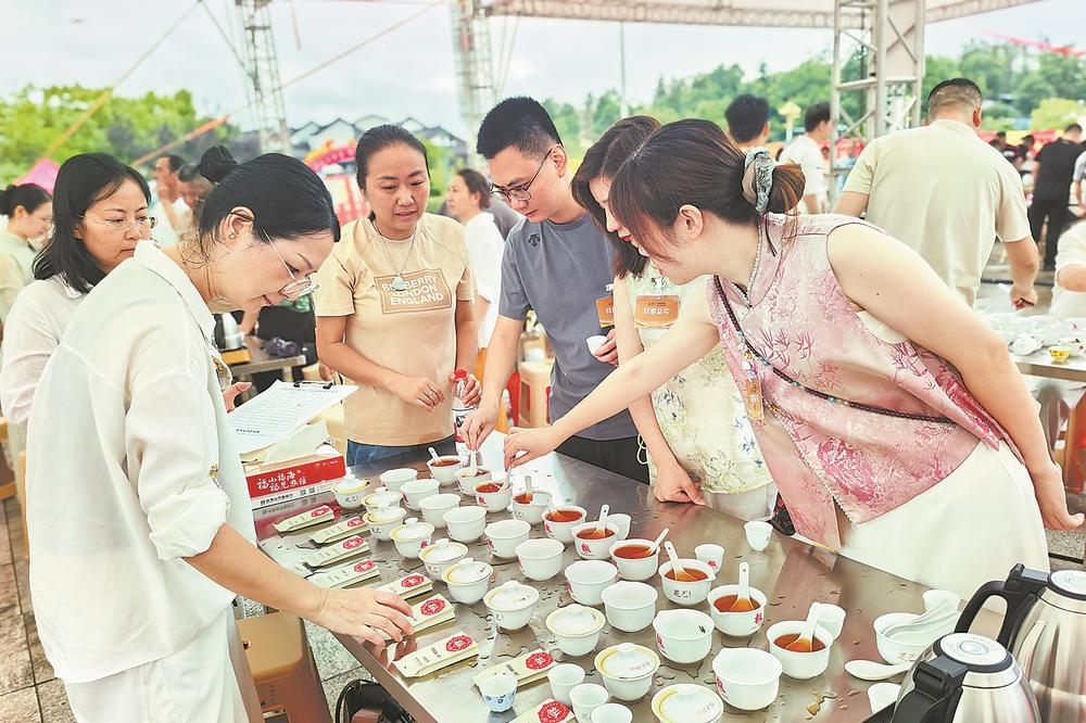 斗茶赛现场