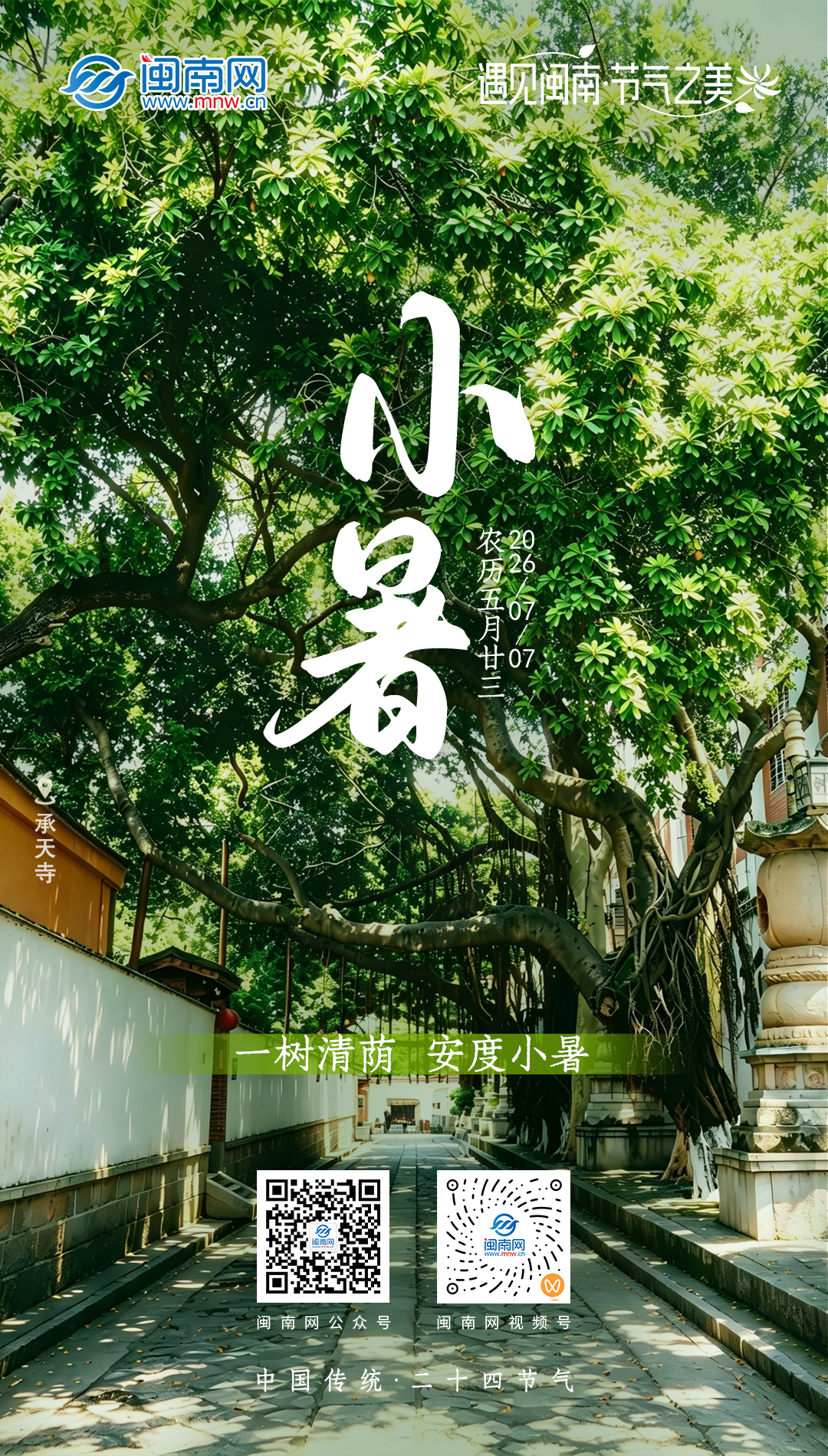 二十四节气 | 小暑：一树清荫 安度小暑