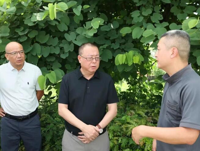 从会场到现场！漳州高新区领导带队调研生态环保攻坚“回头看”