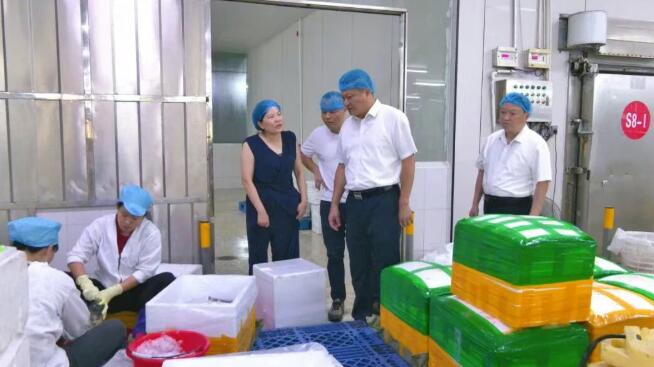 诏安县领导调研梅岭镇企业