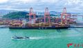 地中海航运SAMBAR航线货轮首航厦门港