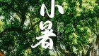 遇见闽南 节气之美丨小暑