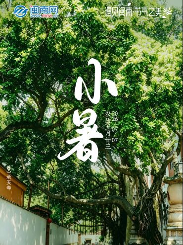 遇見閩南 節氣之美丨小暑