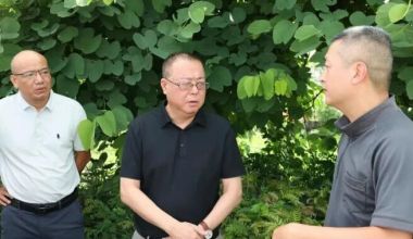 从会场到现场！漳州高新区领导带队调研生态环保攻坚“回头看”