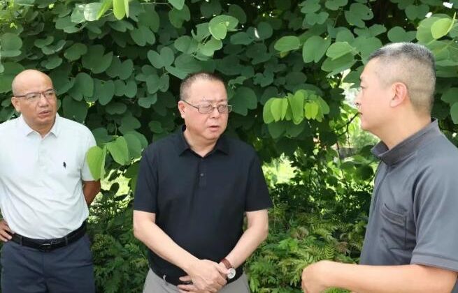 从会场到现场！漳州高新区领导带队调研生态环保攻坚“回头看”