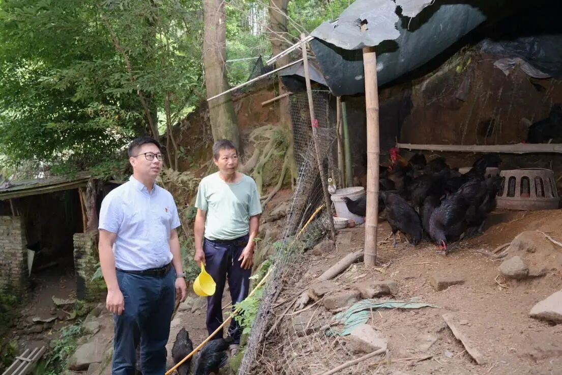 林煌丁：扎根英山 为民造福