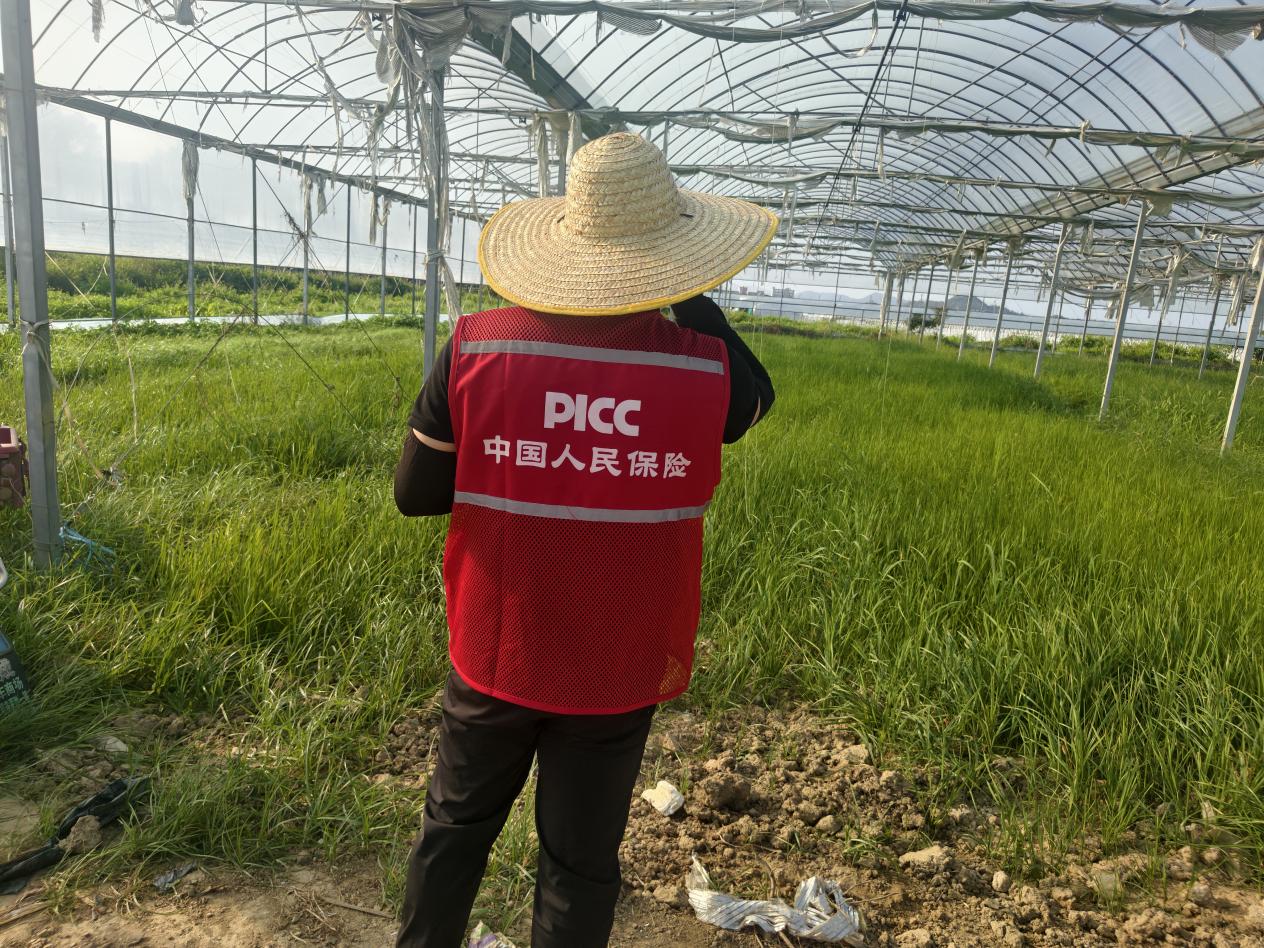 人保财险泉州市分公司开展农险风险排查