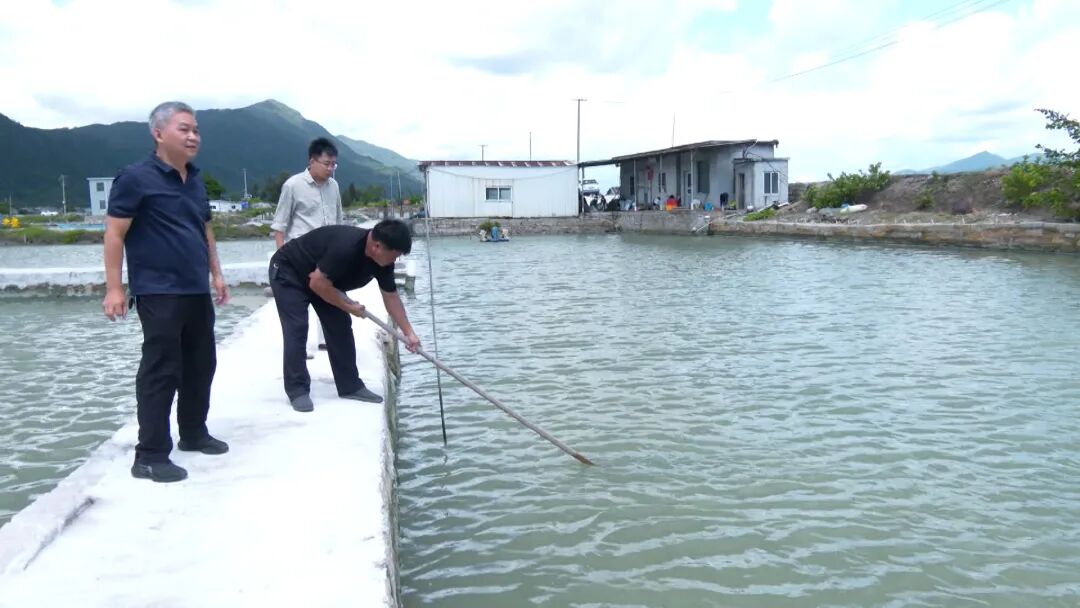 食安守护在行动丨云霄：筑牢“蓝色粮仓” 擦亮地标产业“金名片”