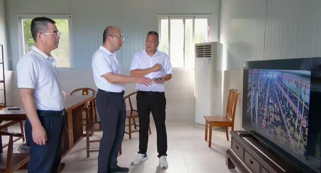 诏安县领导到建设乡蹲点调研