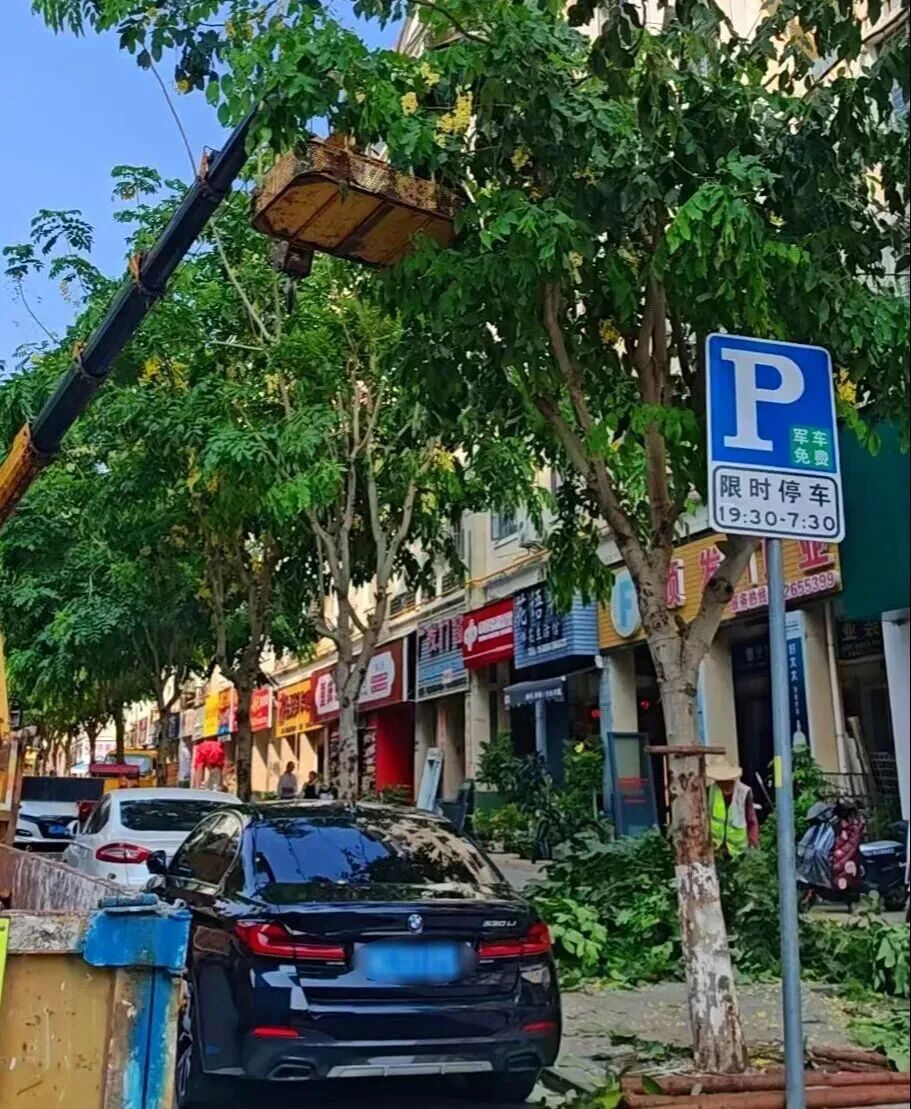 洛江区城管局：闻“风”而动严排查 筑牢防线护平安
