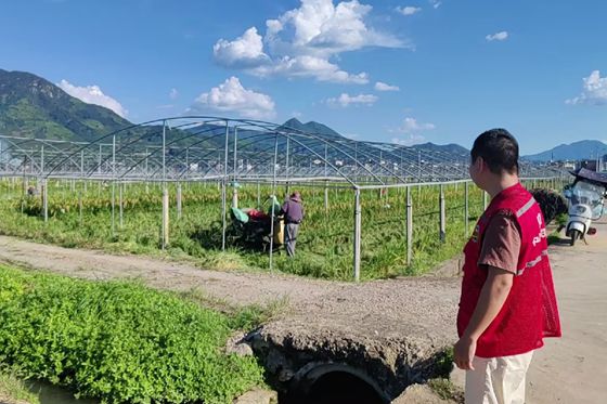 人保财险福建漳州市分公司：迎战超强台风“巴威” 农险赋能防灾减损