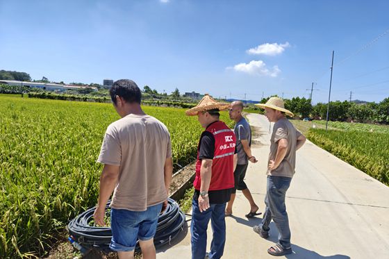 人保财险福建漳州漳浦支公司：以“防”为先 筑牢农业生产“安全堤”