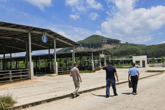 人保财险福建漳州诏安支公司：全力备战台风“巴威” 用心守护养殖企业财产安全