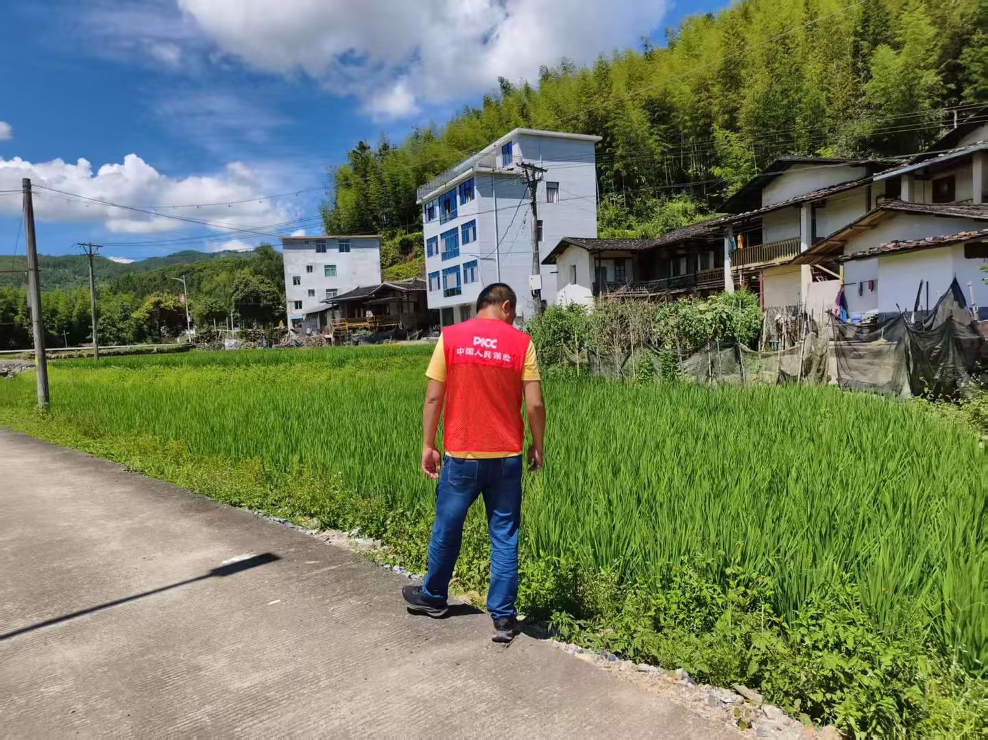 人保财险泉州德化支公司：走村入企，为农户和企业筑起“防风墙”