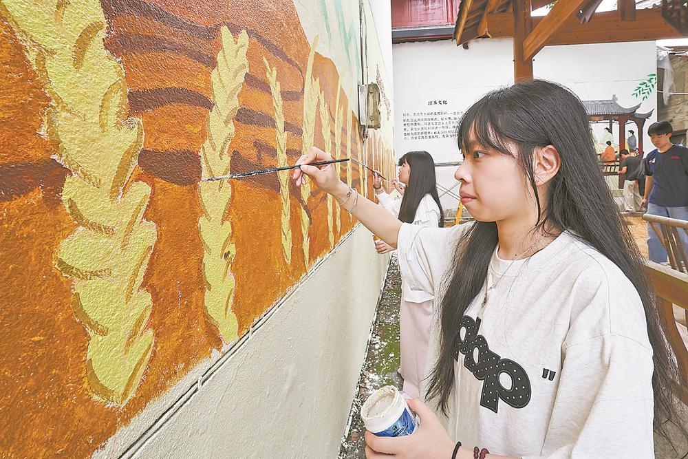 厦门：青春赴乡野