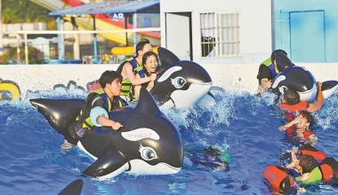水上“整活”，南安文旅玩出新花樣