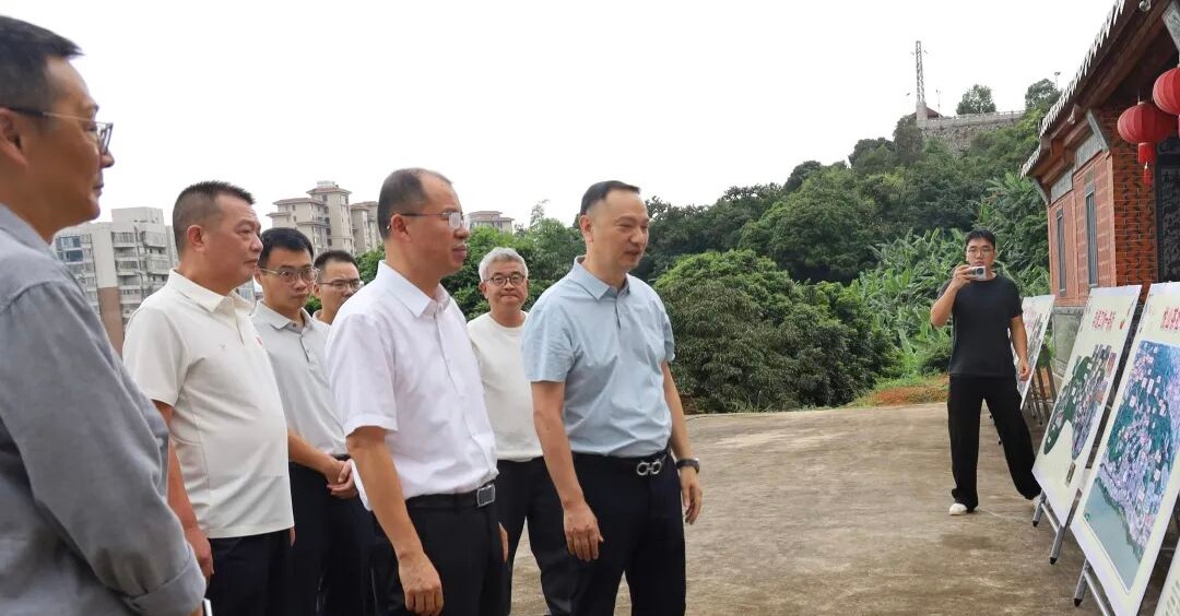 陈清拥到凤城镇调研城市更新、安全生产等重点工作
