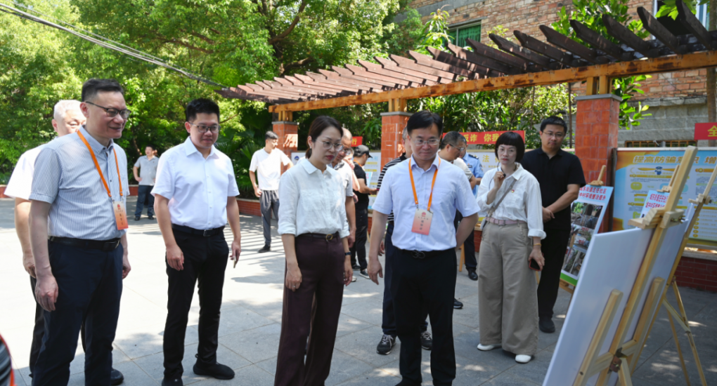 豐澤區人大常委會開展 《泉州市市容和環境衛生管理條例》執法檢查