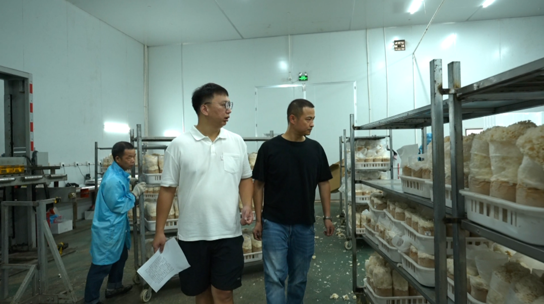 食安守护在行动｜云霄：设备升级+数字溯源 为食品产业装上“安全大脑”