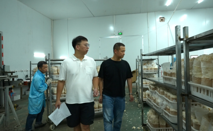 食安守护在行动｜云霄：设备升级+数字溯源 为食品产业装上“安全大脑”