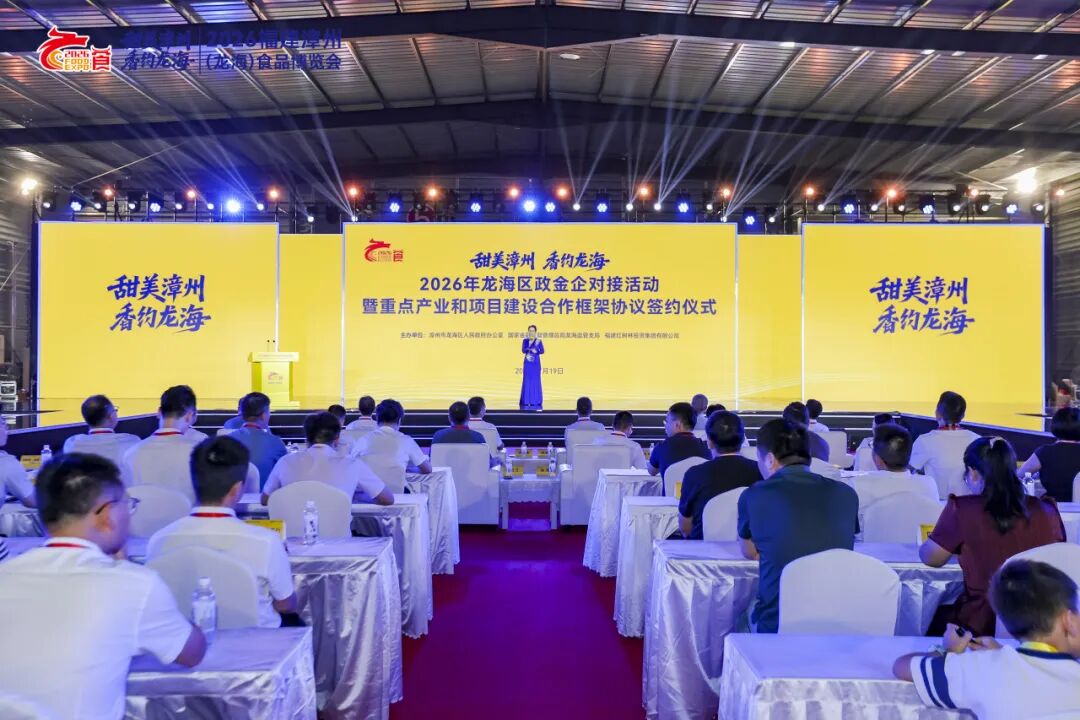 超220亿元！龙海政金企对接成果亮眼