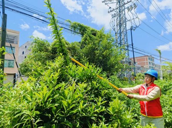 闻“风”而动 周密部署 诏安县全面筑牢电网防汛防台风安全防