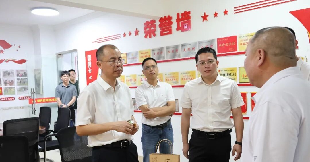 陈清拥到官桥镇、龙门镇调研乡村振兴、安全生产等重点工作