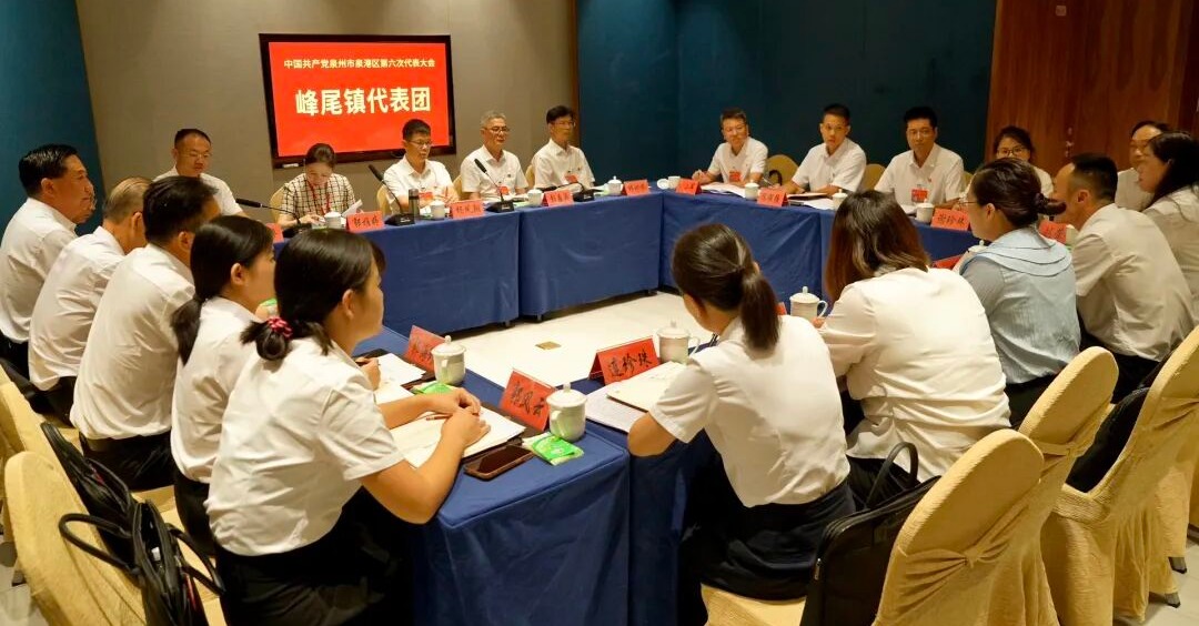 泉港区政府主要领导深入代表团参加讨论