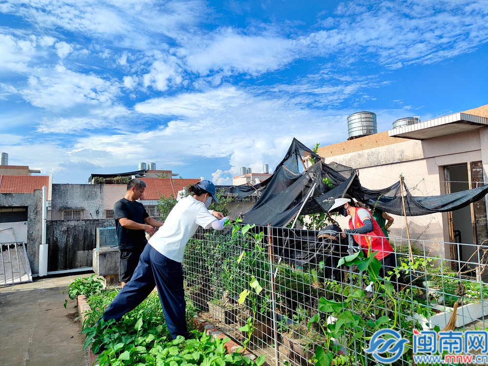 漳州芗城区南坑街道多点发力纵深推进爱国卫生运动