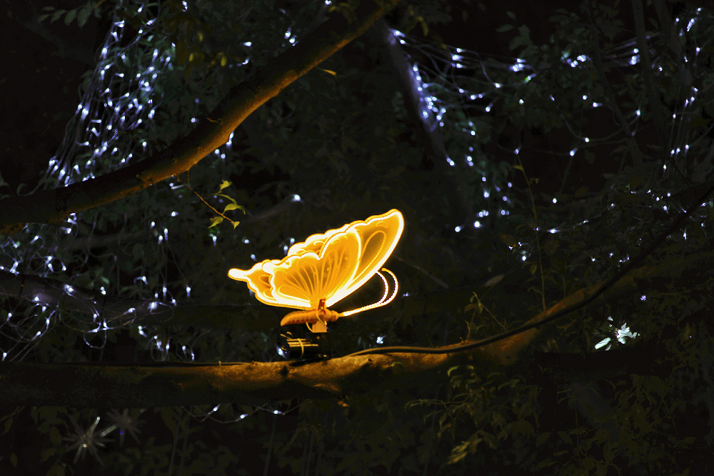 节日限定！南俊路夜景又又又上新了！