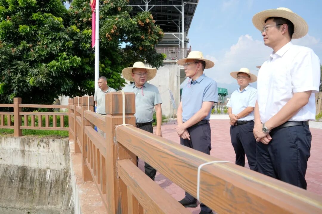 云霄县委县政府主要领导督导推进漳江流域污染源综合治理和红树林保护利用工作