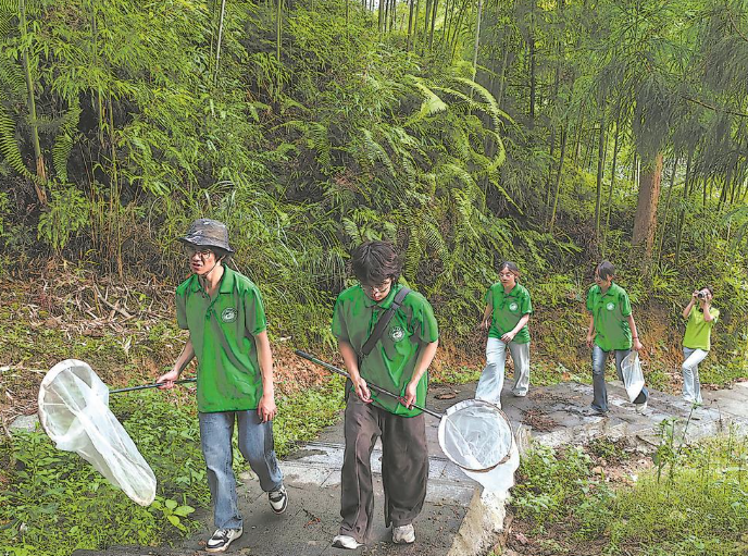 深山里，“虫虫特工队”来了一场大摸底