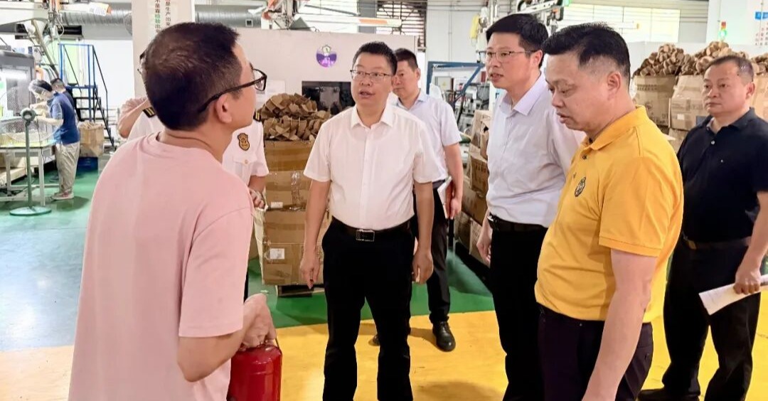 洛江区委副书记、代区长洪金城调研督导安全生产工作
