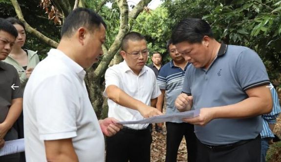 严守耕地红线 筑牢粮食安全根基｜漳浦县委书记督导推进补充耕地项目建设