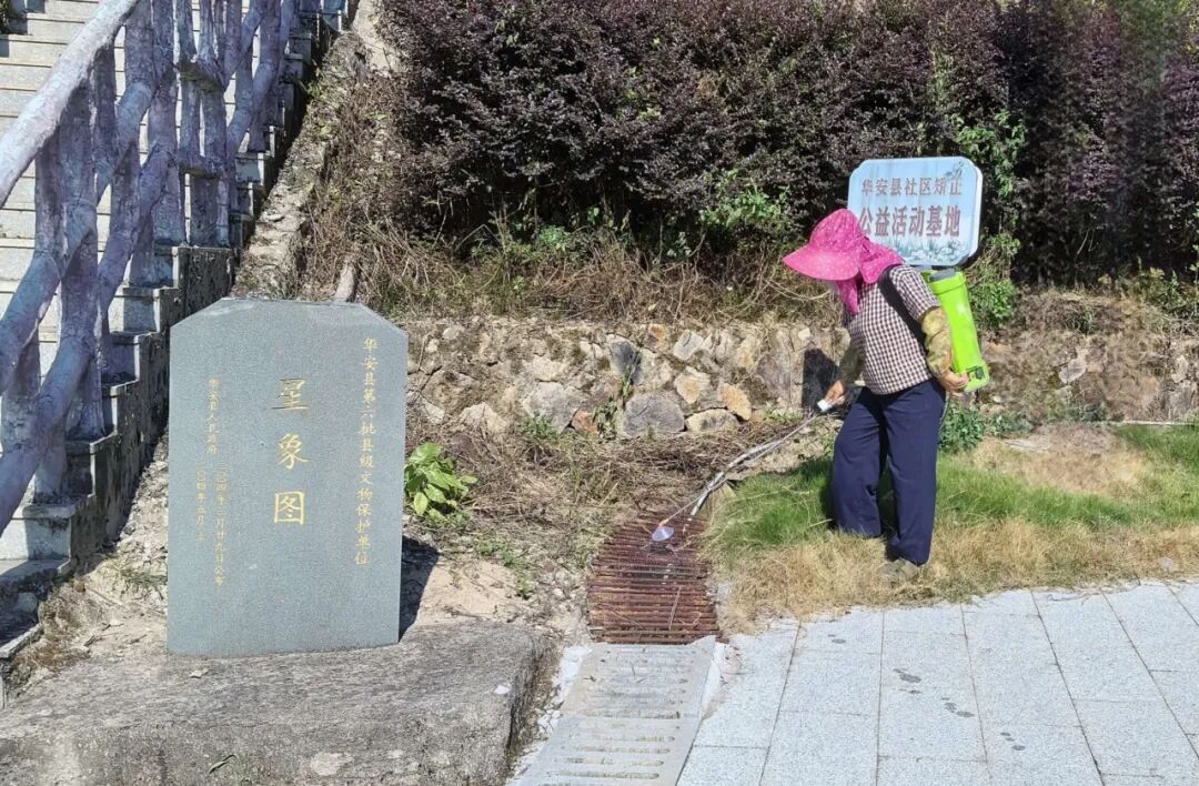 清孳生、灭蚊虫！华安多措并举织密夏季健康防护网
