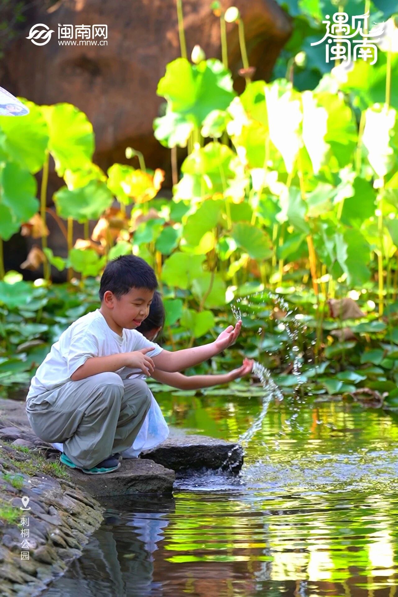 0-1786588911516