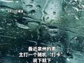 热热热！泉州发布高温、暴雨、雷电预警