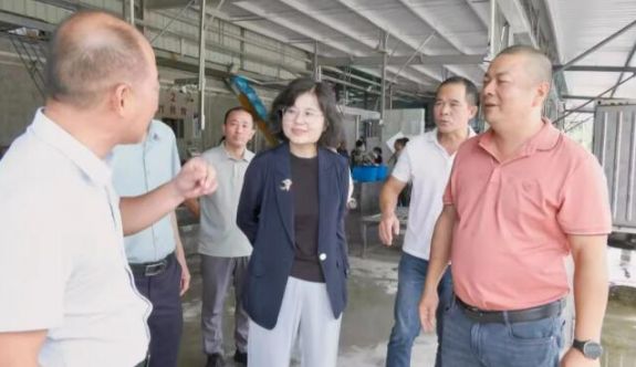 芗城区领导专题调研督导重点民生工作