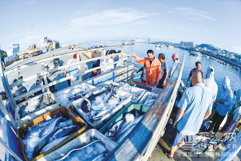 开渔后平潭首批出海渔船陆续满载归港
